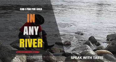 Gold Panning: Which Rivers to Explore?