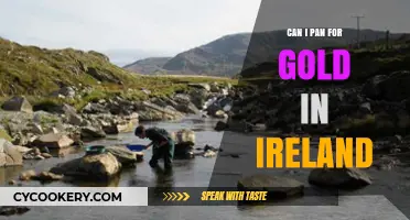 Panning for Gold in Ireland: Is It Possible?