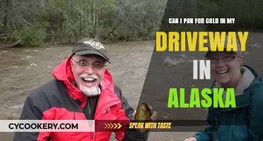 Panning for Gold in Your Alaskan Driveway