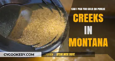 Panning for Gold: Montana's Public Creeks and Rules