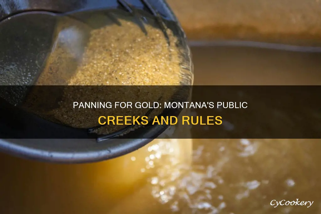can I pan for gold on public creeks in montana