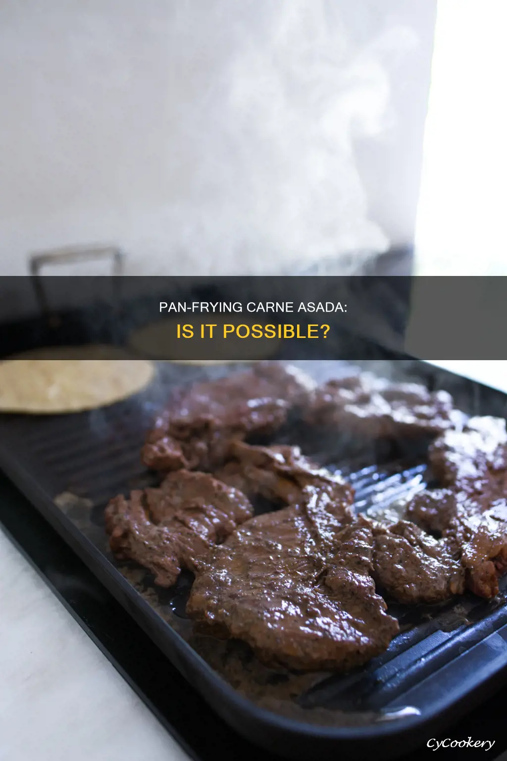 can I pan fry carne asada