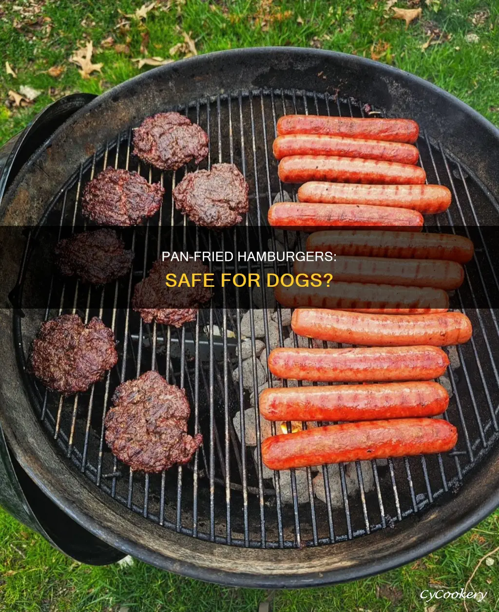can I pan fry hamburger for my dog