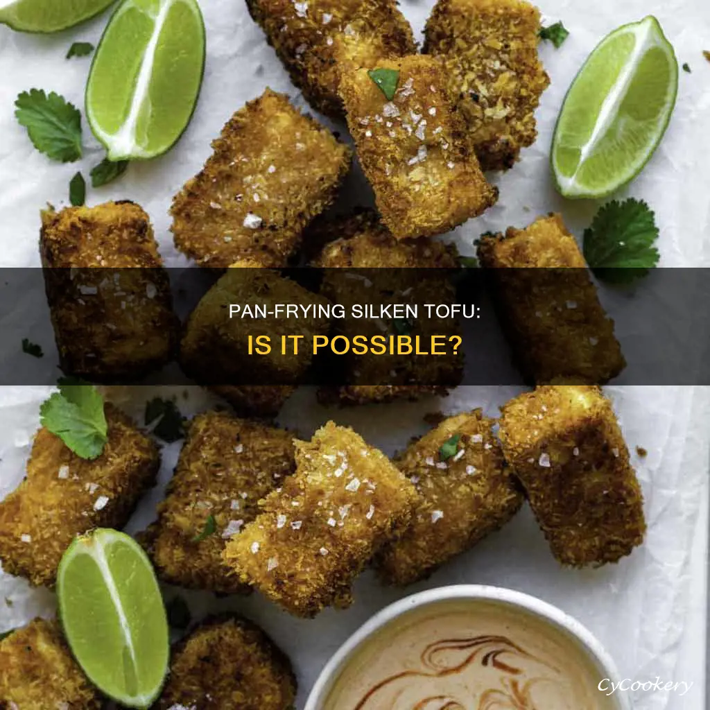 can I pan fry silken tofu