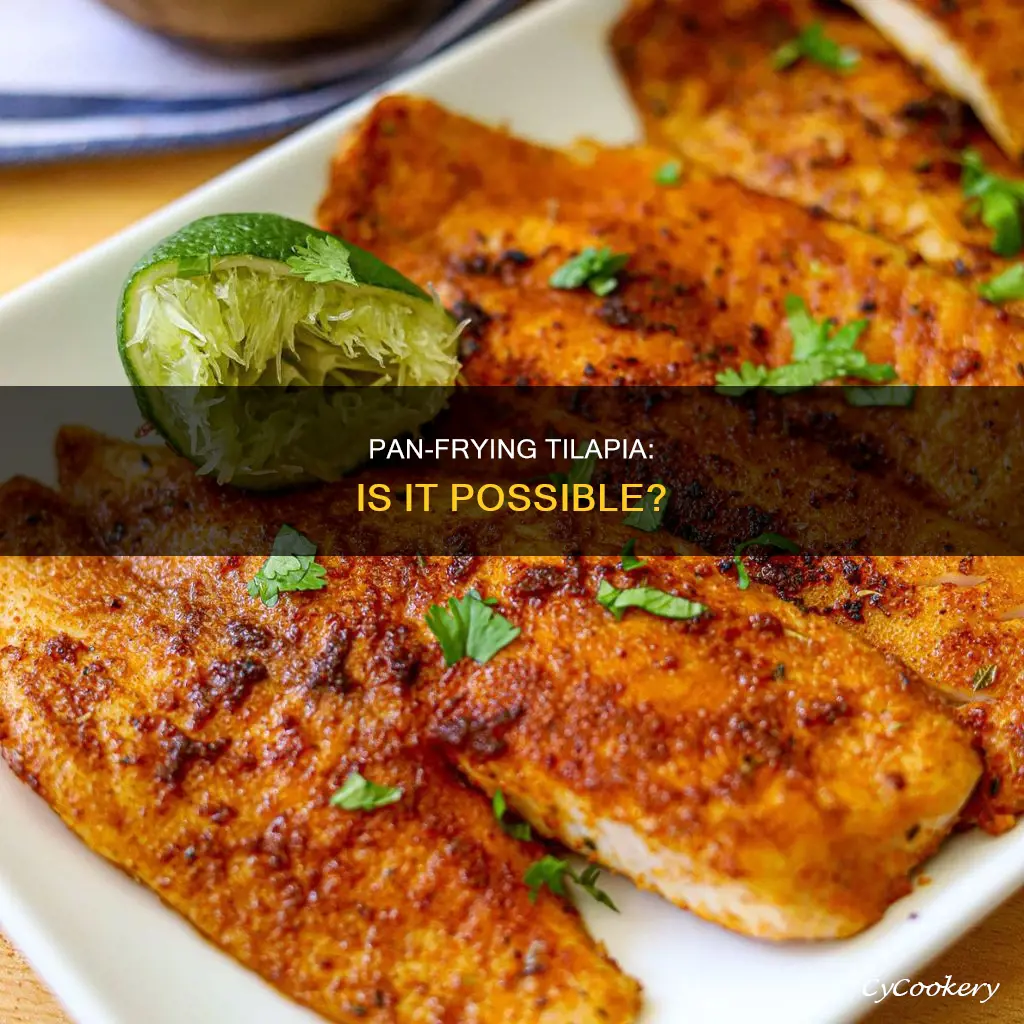 can I pan fry tilapia