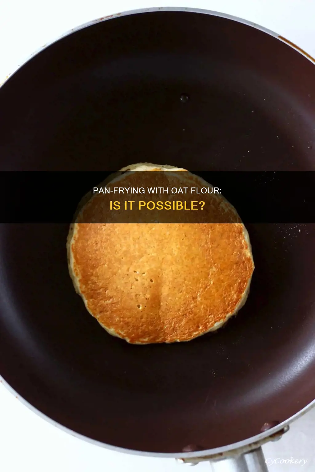 can I pan fry with oat flour only