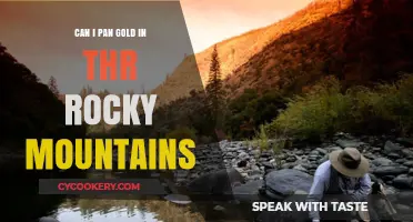 Panning for Gold: Rocky Mountain Prospecting