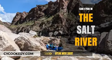 Panning in Salt River: Is It Allowed?