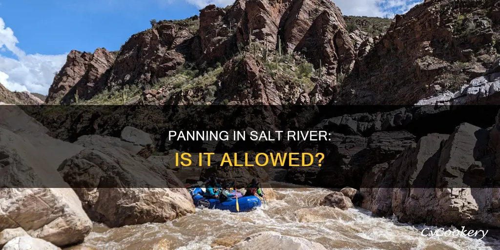 can I pan in the salt river