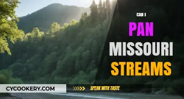 Panning Missouri Streams: Is It Legal?