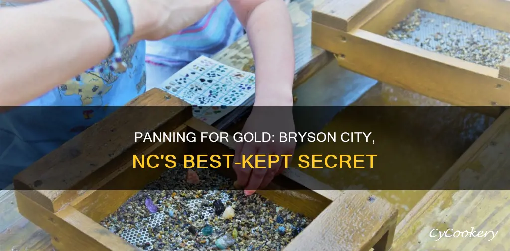 can I panning for gold in bryson city nc