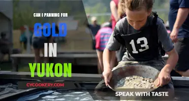 Panning for Gold: Yukon's Golden Opportunity