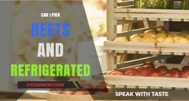Can You Pick Beets and Refrigerate Them? A Storage Guide