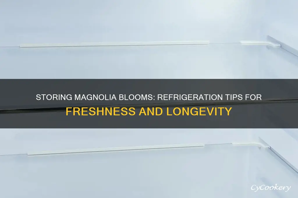 can i pick magnolia and put in refrigerator