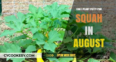Planting Patty Pan Squash: August Sowing Guide