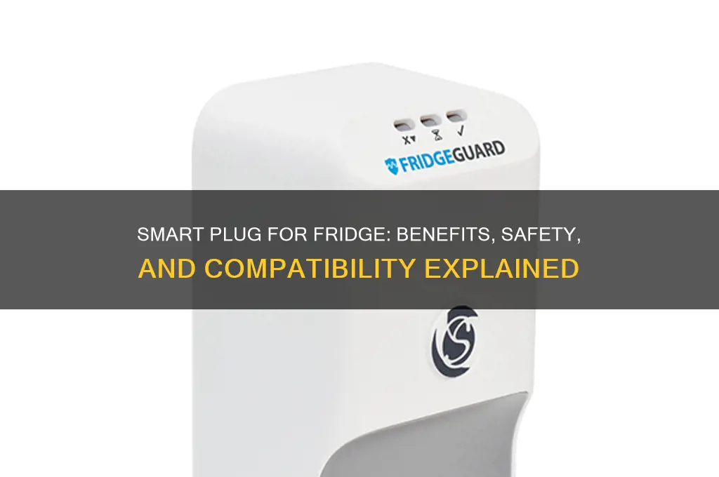 can i plug a refrigerator into a smart plug