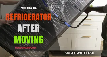 Moving Your Fridge? When and How to Safely Plug It Back In