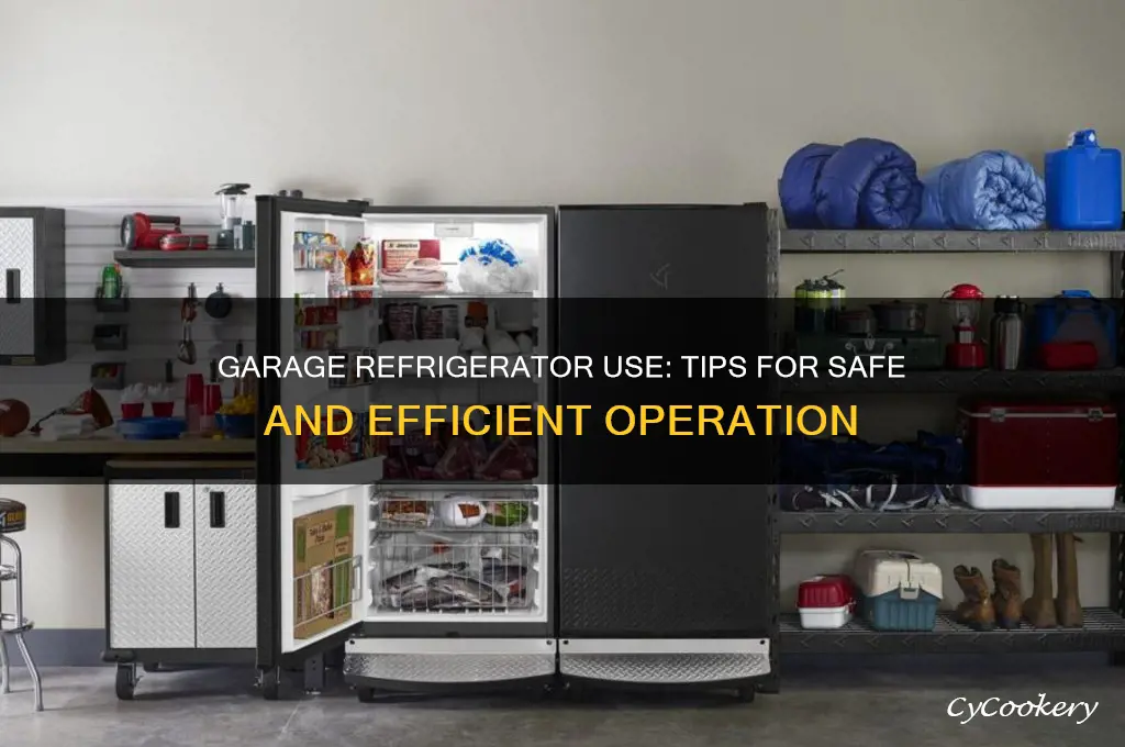 can i plug my refrigerator in a garage and use