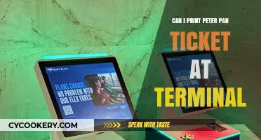 Peter Pan Ticket Printing: Terminal Options Explored