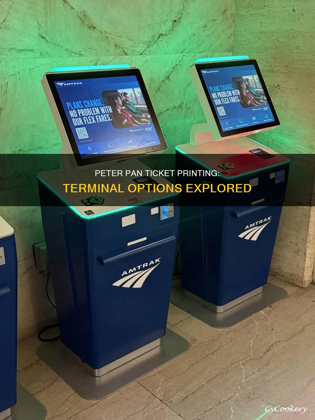 can I print peter pan ticket at terminal