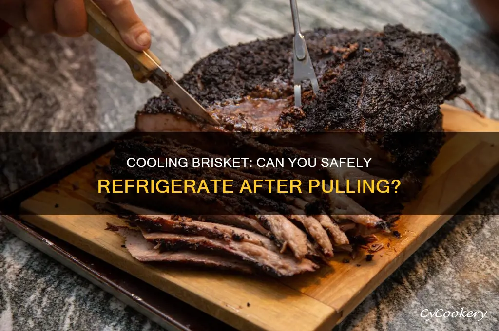 can i pull out brisket and put in refrigerator