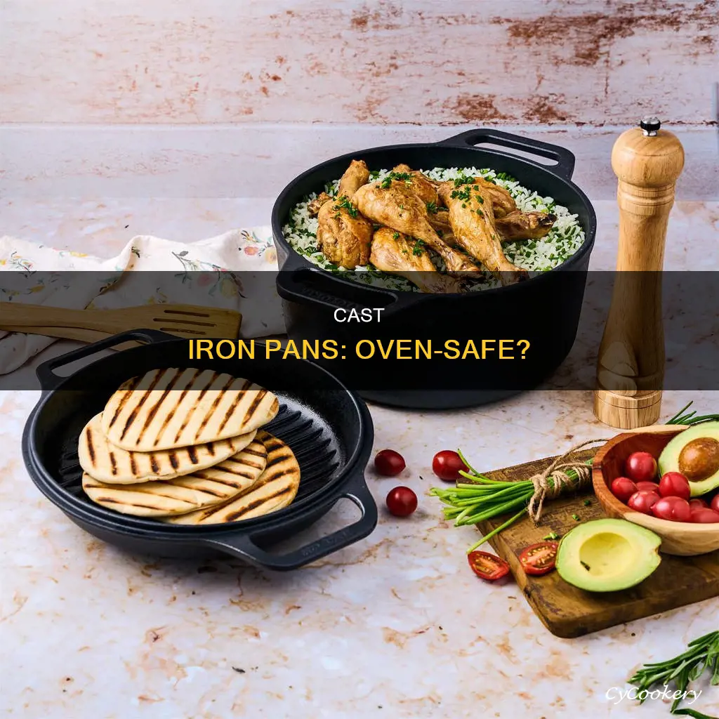 can I pur a cast iron pan in the oven