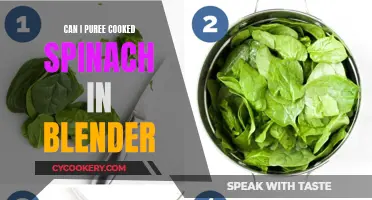 Pureeing Spinach: Blender Technique for a Smooth Finish