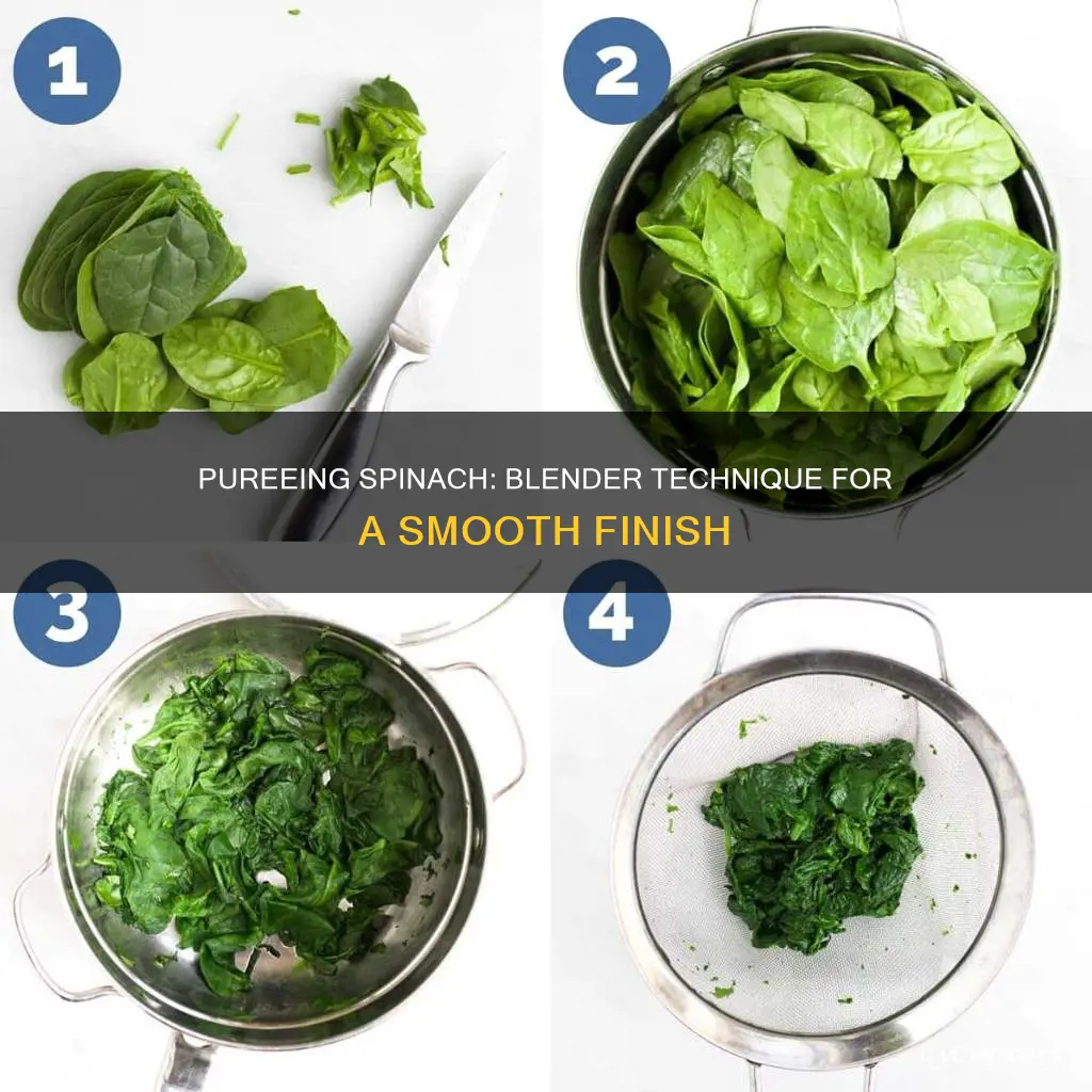 can i puree cooked spinach in blender