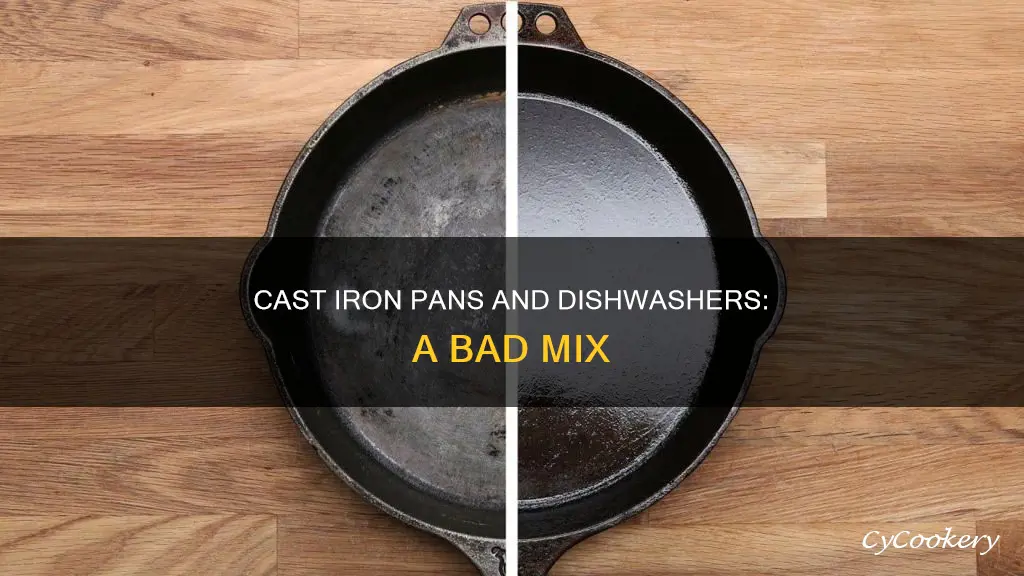can I put a cast iron pan in the dishwasher