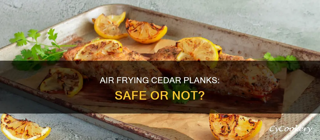 can i put a cedar plank in the air fryer