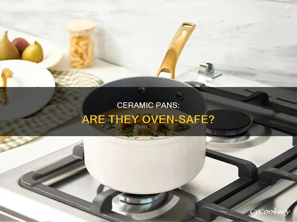 can I put a ceramic pan in the oven