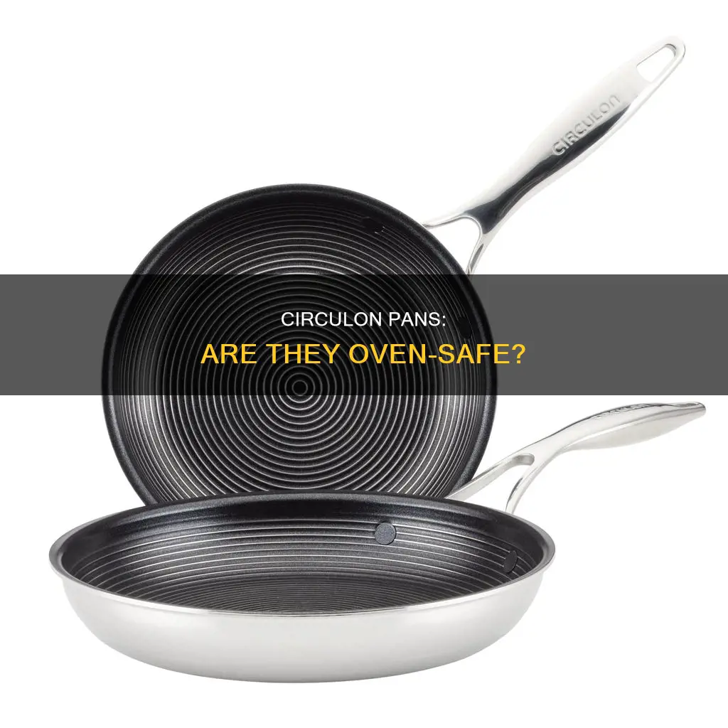 can I put a circulon pan in the oven