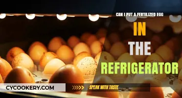 Can Fertilized Eggs Be Refrigerated? A Quick Storage Guide