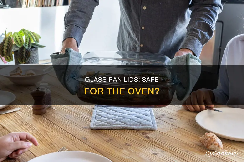 can I put a glass pan lid in the oven