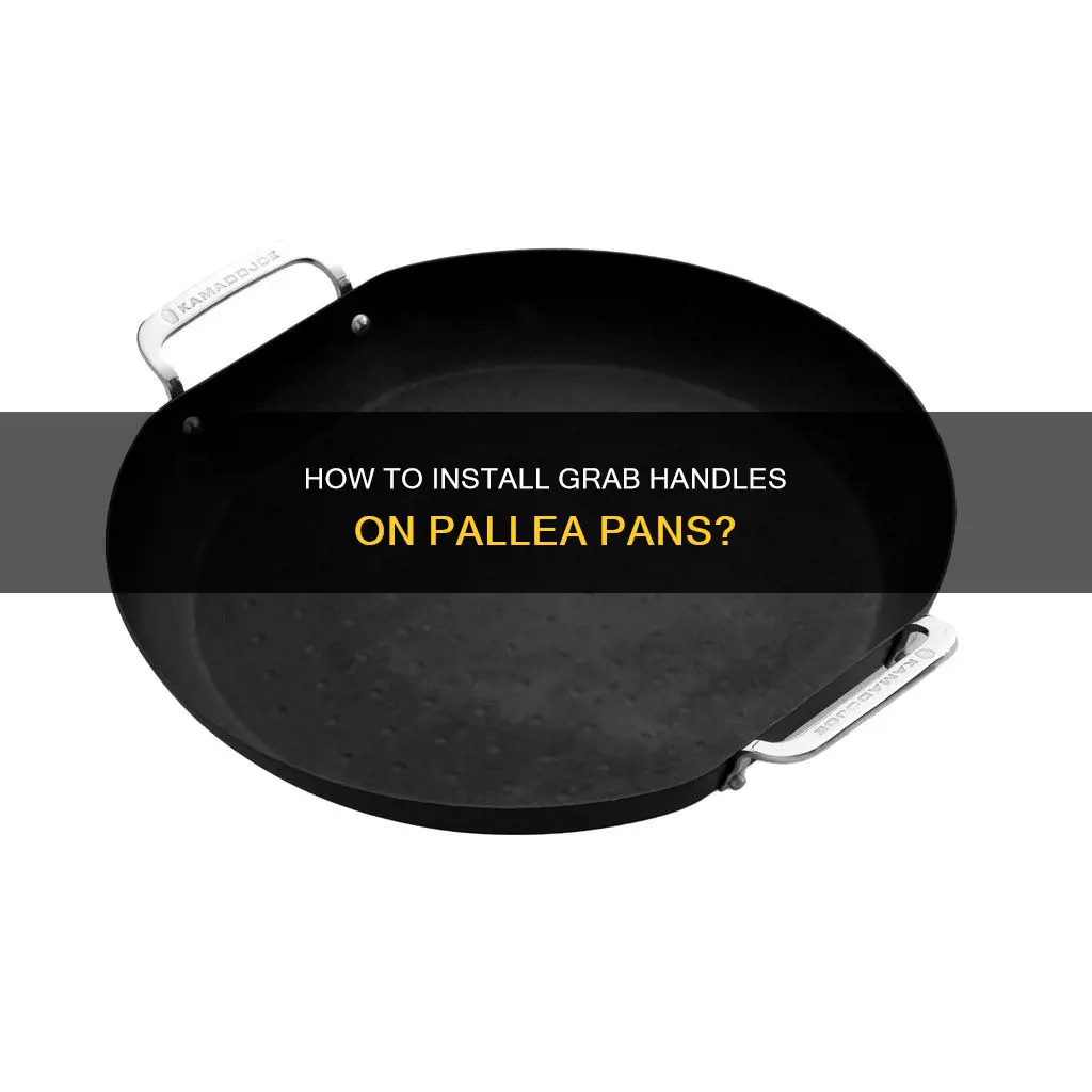 can I put a grab handle on a pallea pan