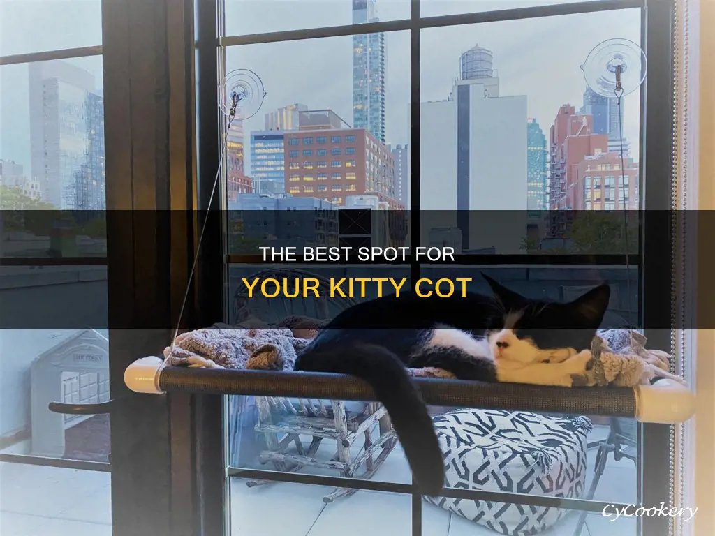 can I put a kitty cot on single pane glass