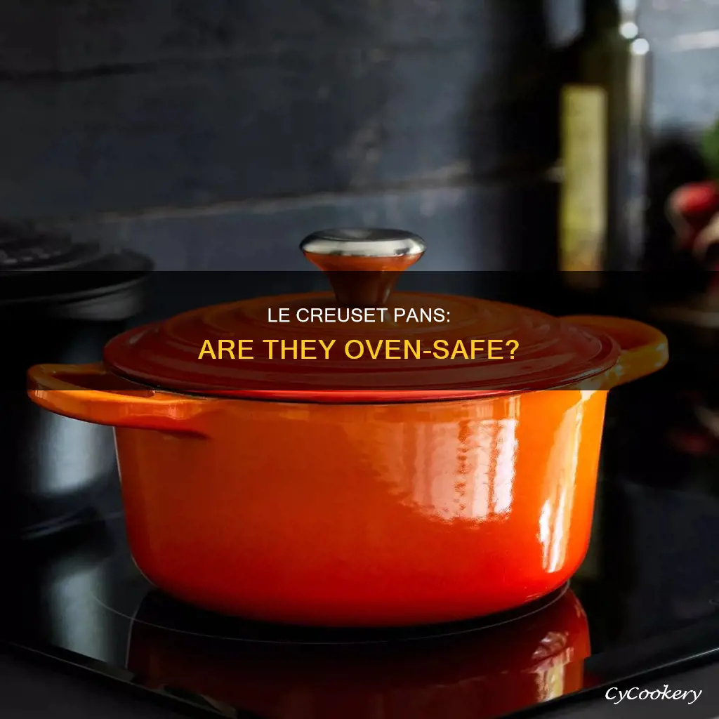 can I put a le creuset pan in the oven
