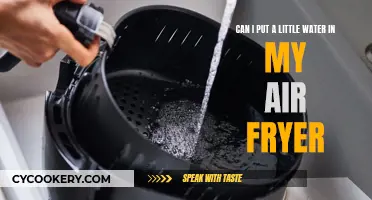 Air Fryer and Water: What's the Deal?