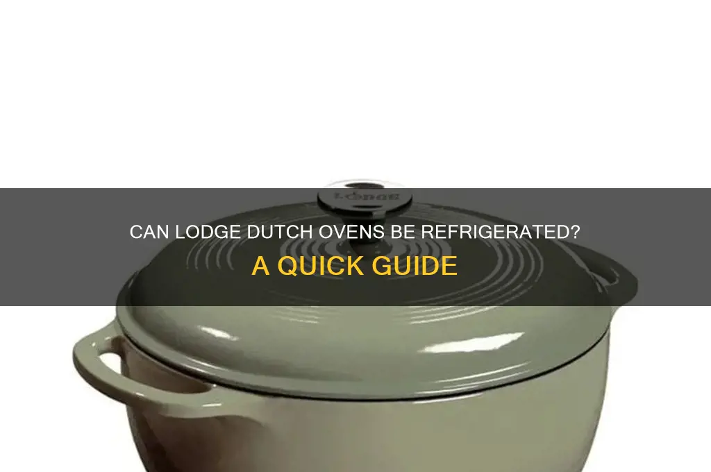 can i put a lodge duytch oven in the refrigerator