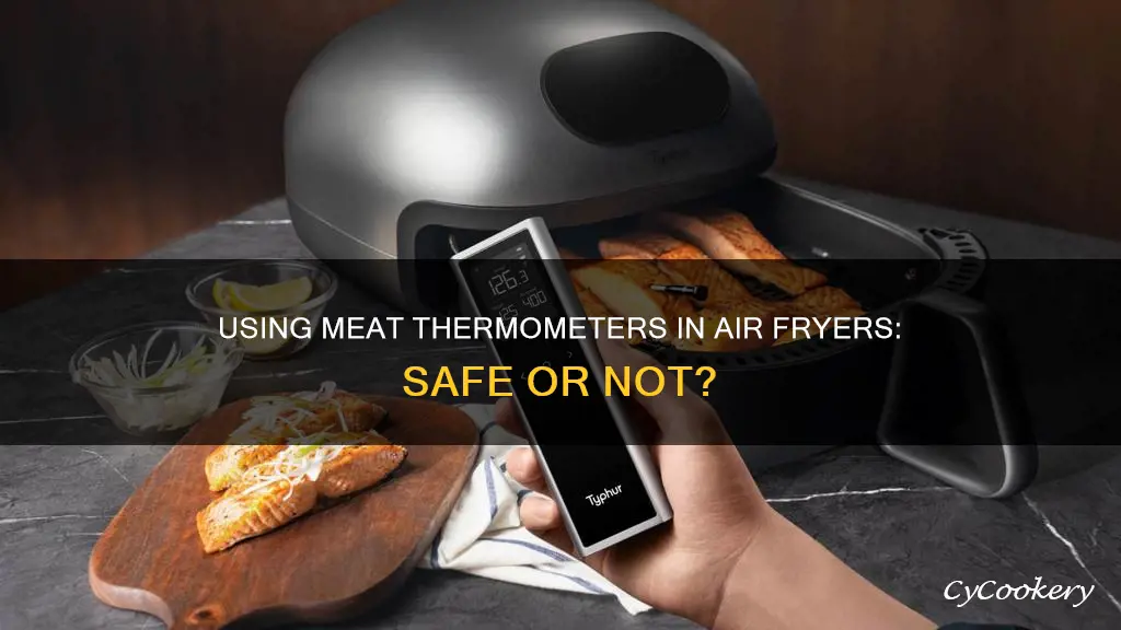 can i put a meat thermometer in an air fryer