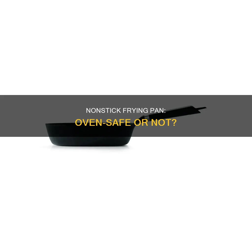 can I put a nonstick frying pan in the oven