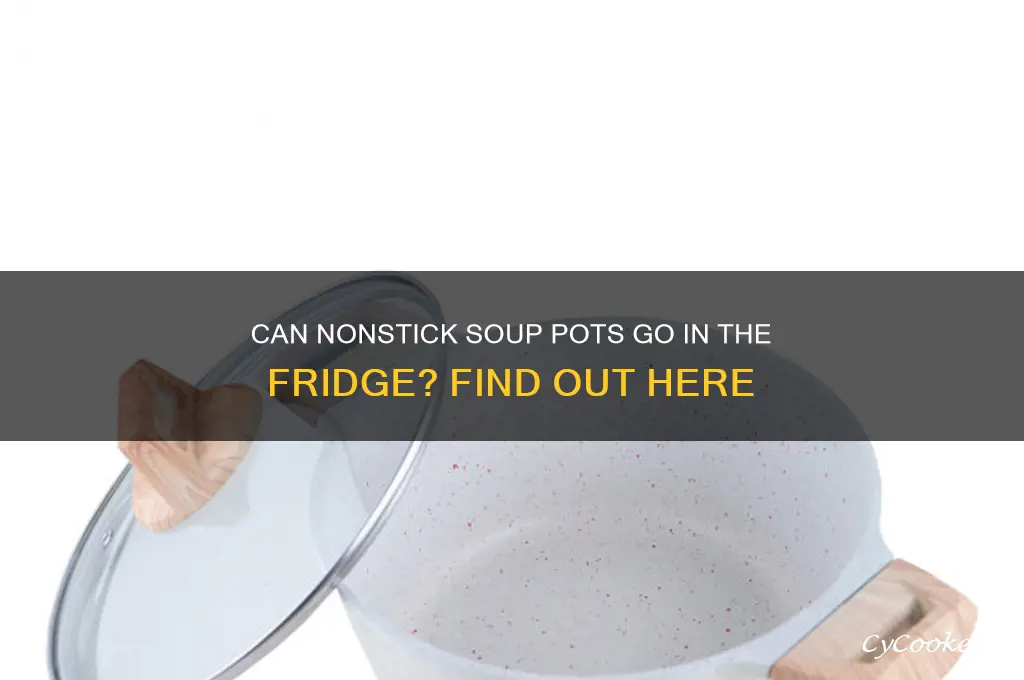 can i put a nonstick soup pot in refrigerator