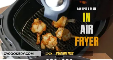 Air Fryer Plate Safety: Can You Do It?