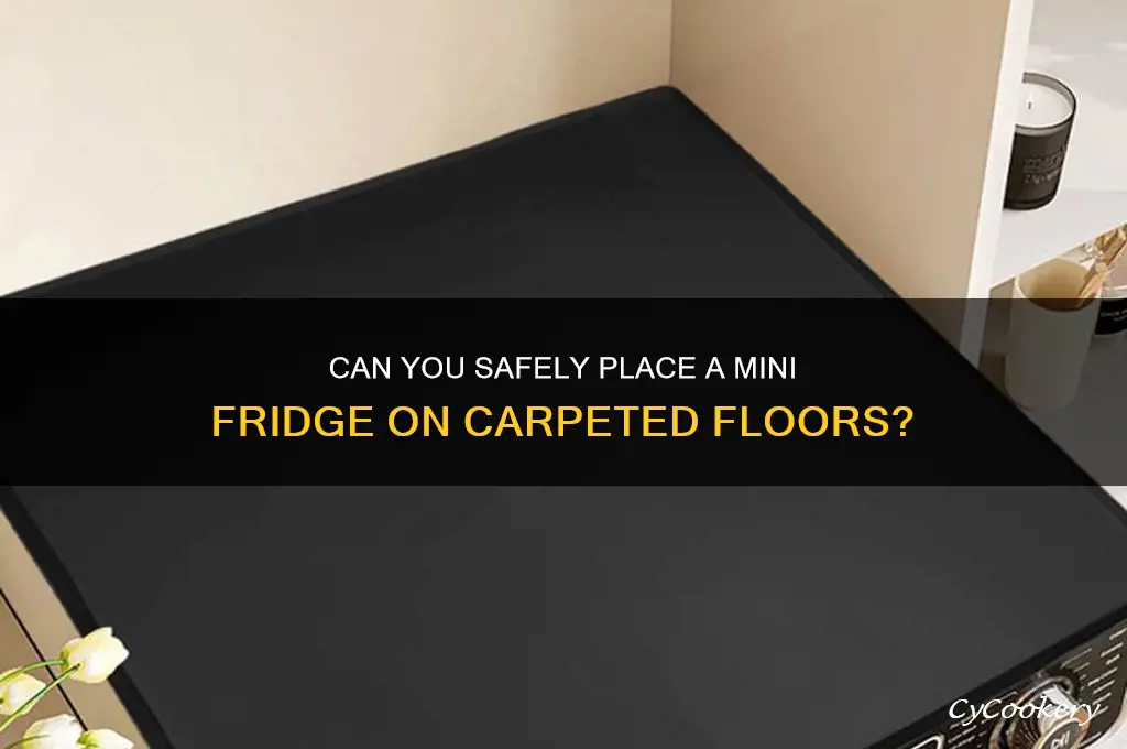 can i put a small refrigerator on carpet