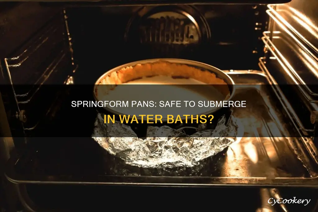 can I put a springform pan in a water bath
