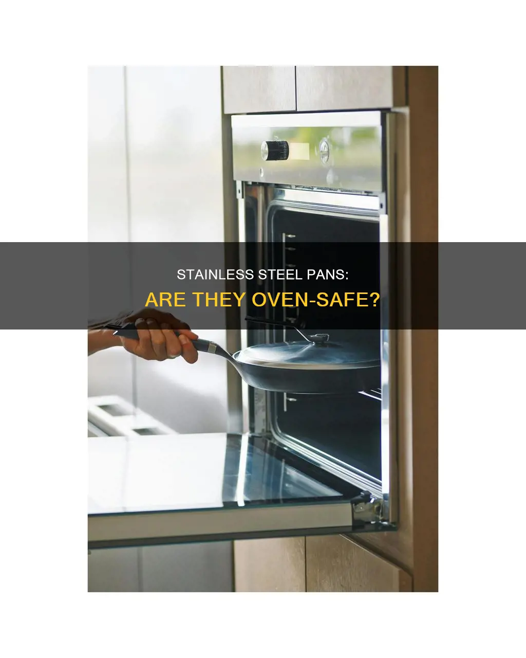 can I put a stainless steal pan in the oven