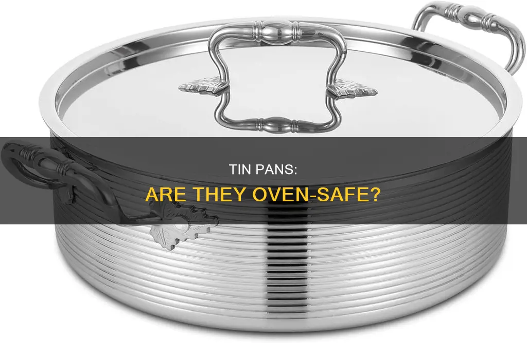 can I put a tin pan in the oven