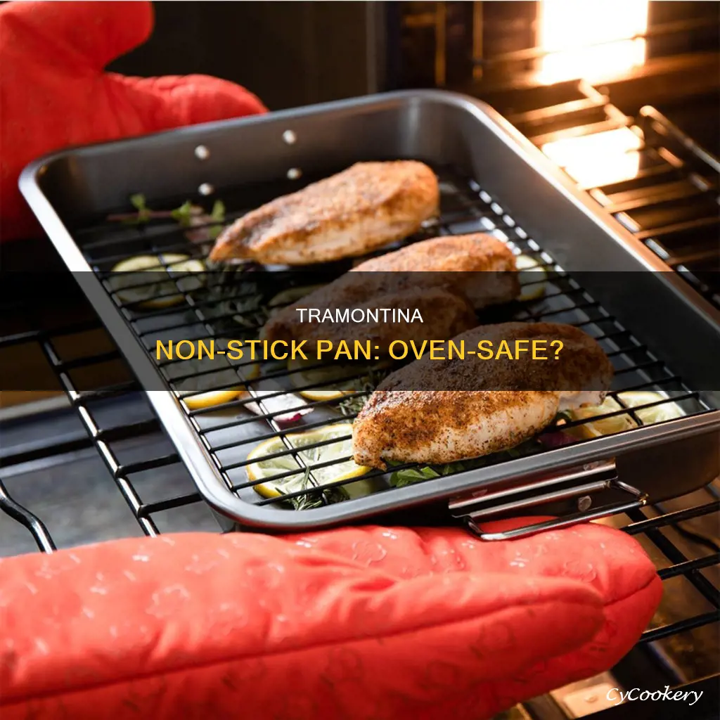 can I put a tramontina non stick pan in oven