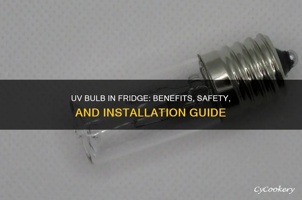 can i put a uv bulb in my refrigerator