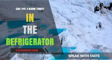 Cooling a Warm Turkey: Safe Refrigeration Tips and Best Practices